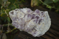 Natural Sugar Amethyst Clusters  x 2 From Zambia - Toprock Gemstones and Minerals 