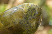 Polished Green Opal Standing Free Forms  x 4 From Madagascar - TopRock