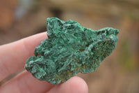 Natural Silky Malachite Specimens  x 14 From Kasompe, Congo - TopRock