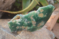 Polished  One Side Polished Emerald Mtorolite Plates  x 4 From Zimbabwe