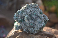 Natural Rare Emerald In Mica Schist  x 2 From Sandawana, Zimbabwe - Toprock Gemstones and Minerals 