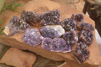 Natural Dark Amethyst Clusters (Stone Sealed) x 12 From Zambia