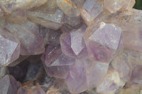 Natural Jacaranda Amethyst Cluster x 1 From Mumbwa, Zambia - TopRock