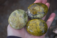 Polished selected Green Opal Palm Stones x 12 From Antsirabe, Madagascar - Toprock Gemstones and Minerals 