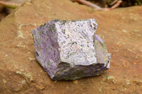 Natural Rough Stichtite & Serpentine Specimens  x 8 From Barberton, South Africa - TopRock