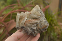 Natural Rare Bladed Barite Specimens  x 2 From Tenke Fungurume, Congo - TopRock