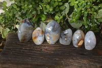 Polished Dendritic Agate Standing Free Forms  x 6 From Madagascar