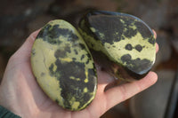 Polished  Spotted Leopard Stone Free Forms  x 6 From Inyanga, Zimbabwe