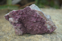 Natural Pink Salrose Cobaltion Dolomite Specimens  x 6 From Kakanda, Congo