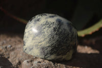 Polished Leopard Stone Free Forms  x 6 From Inyanga, Zimbabwe