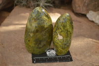 Polished Green Opal Standing Free Forms  x 4 From Madagascar - TopRock