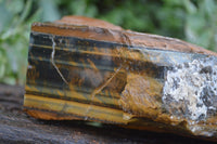 Natural Golden Blue Tigers Eye Specimens  x 2 From Prieska, South Africa - TopRock