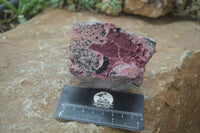 Natural Pink Salrose Cobaltion Dolomite Specimens  x 6 From Kakanda, Congo