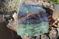 Polished Watermelon Fluorite Slabs  x 2 From Uis, Namibia