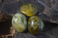 Polished selected Green Opal Palm Stones x 12 From Antsirabe, Madagascar - Toprock Gemstones and Minerals 