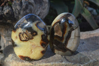 Polished Septerye Standing Free Forms x 2 From Mahajanga, Madagascar