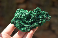 Natural Chatoyant Silky Malachite Specimens  x 6 From Kasompe, Congo - TopRock