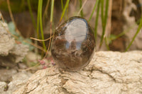 Polished Large Morion Smokey Quartz Eggs x 5 From Madagascar - TopRock