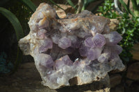 Natural Jacaranda Amethyst Cluster x 1 From Mumbwa, Zambia - TopRock