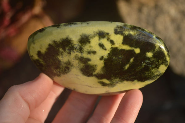 Polished  Spotted Leopard Stone Free Forms  x 6 From Inyanga, Zimbabwe