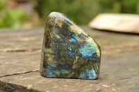 Polished Labradorite Standing Free Forms With Blue & Gold Flash  x 2 From Tulear, Madagascar - TopRock