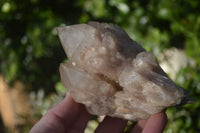 Natural Cascading Smokey Quartz Clusters x 2 From Luena, Congo