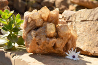 Natural Cascading White Phantom Smokey Quartz Cluster  x 1 From Luena, Congo - TopRock