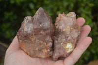 Natural Red Hematoid Quartz Specimens x 12 From Karoi, Zimbabwe - TopRock