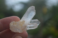 Natural Small Mixed Quartz Clusters  x 53 From Madagascar - TopRock