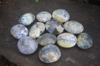 Polished Dendritic Opal Galet / Palm Stone x 12 from Madagascar