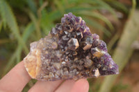 Natural Dark Amethyst Clusters (Stone Sealed) x 12 From Zambia