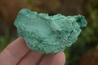 Natural Silky Malachite Specimens  x 14 From Kasompe, Congo - TopRock