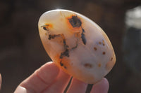 Polished Dendritic Agate Standing Free Forms  x 6 From Madagascar