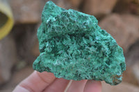 Natural Silky Malachite Specimens  x 5 From Kasompe, Congo