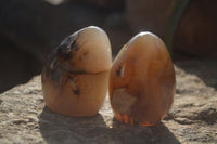 Polished Dendritic Agate Standing Free Forms  x 6 From Madagascar