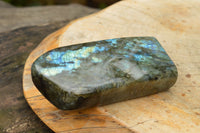 Polished Labradorite Standing Free Forms With Blue & Gold Flash  x 2 From Tulear, Madagascar - TopRock