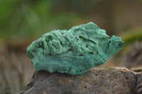 Natural Silky Malachite Specimens  x 14 From Kasompe, Congo - TopRock