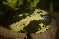 Polished  Spotted Leopard Stone Free Forms  x 6 From Inyanga, Zimbabwe