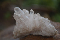 Natural Small Mixed Quartz Clusters  x 53 From Madagascar - TopRock