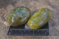 Polished selected Green Opal Palm Stones x 12 From Antsirabe, Madagascar - Toprock Gemstones and Minerals 