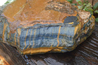 Natural Sliced Tigers Eye Specimen x 1 From Prieska, South Africa - Toprock Gemstones and Minerals 