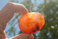 Polished Small Carnelian Palm Stones / Gallets - sold per kg - From Madagascar - TopRock