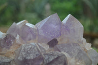 Natural Jacaranda Amethyst Cluster x 1 From Mumbwa, Zambia - TopRock