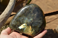 Polished Labradorite Standing Free Forms With Intense Blue & Gold Flash x 2 From Sakoany, Madagascar - TopRock