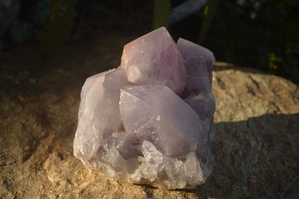 Natural Jacaranda Amethyst Cluster  x 1 From Zambia - Toprock Gemstones and Minerals 