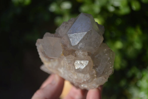 Natural Cascading Smokey Quartz Clusters x 2 From Luena, Congo