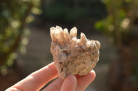 Natural Smokey Quartz & Aegirine Crystals x 14 From Zomba Mountain, Malawi - TopRock