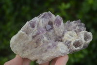 Natural Sugar Amethyst Clusters  x 2 From Zambia - Toprock Gemstones and Minerals 