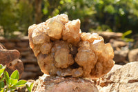 Natural Cascading White Phantom Smokey Quartz Cluster  x 1 From Luena, Congo - TopRock