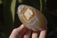 Polished Dendritic Agate Standing Free Forms  x 6 From Madagascar